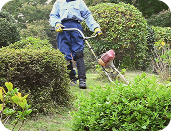 庭の除草